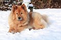 kschnee (7)